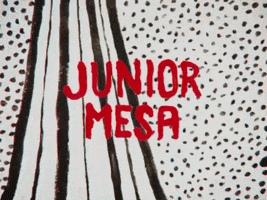 Music Video Diva GIF by Junior Mesa