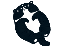 Cat Kitten Sticker