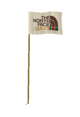 Camping The North Face Sticker by Gucci 