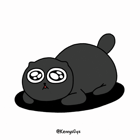 Nervous Black Cat GIF by Kennymays