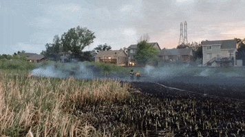 Fire Fireworks GIF by Storyful