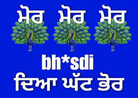 India Punjabi GIF