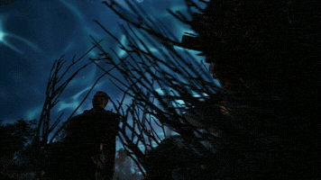 Wtf GIF