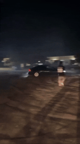 Belt Bta GIF