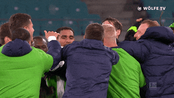 Champions League Party Hard GIF by VfL Wolfsburg
