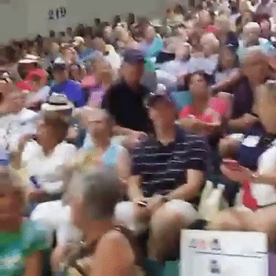 elizabethmontgomery  GIF