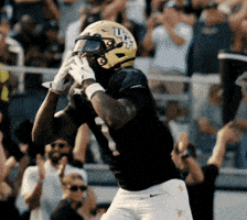 College Football Gkco GIF by UCF Knights