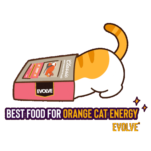 Cat Evolve Sticker by Sunshine Mills