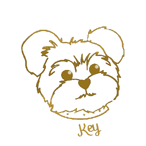 Loja Key Sticker