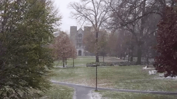 first snow GIF by Swarthmore College Libraries