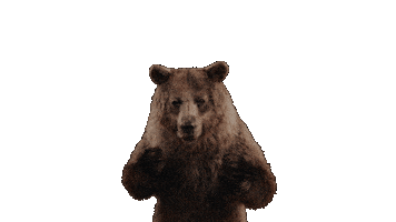 Winter Olympics Bear Sticker by PetroCanada