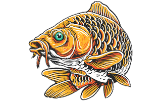 Fishing Carp Sticker