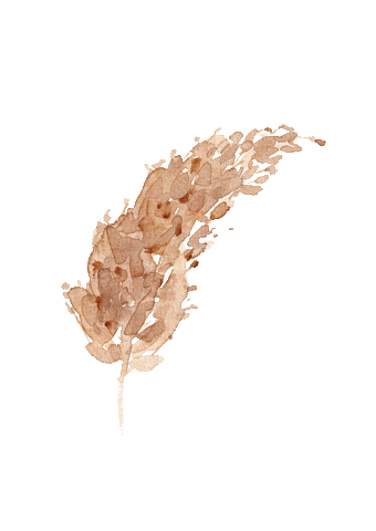 Boho Sticker