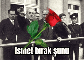 Valentines Day Love GIF