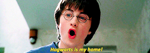 Ti piace Harry Potter
