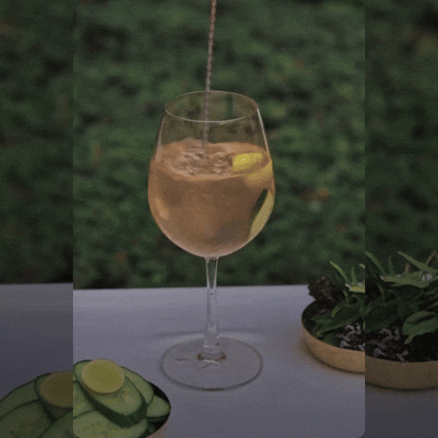 Cheers Alcohol GIF by Suryagarh Collection
