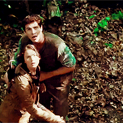 gale