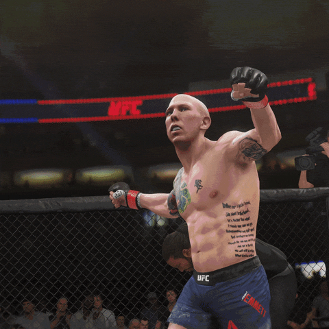 fight cheer GIF by EA SPORTS UFC