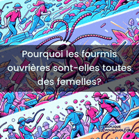 expliquepourquoi-polythisme-division-du-travail-fourmis-femelles-52I8fVowhLwjp4Zad6