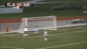 soccer celebrate GIF by SIUE Cougars