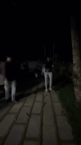 Amal GIF