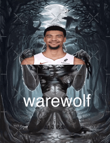 Miami Heat GIF