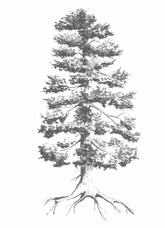 perner_obertauern GIF