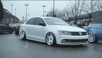 Photography GIF by Curated Stance Club!