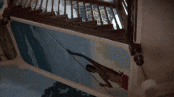Priscilla GIF