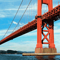 200w.gif?cid=6c09b952mf1ec3zltkcdmw7qejlstytwnslh8p5b6kq1o3wx&ep=v1_gifs_search&rid=200w.gif&ct=g