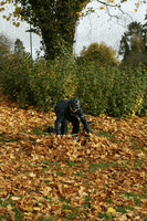 Autumn Leaves Winter GIF by Wilderness Trail Bikes