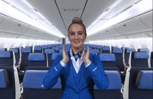 flying klm royal dutch airlines GIF