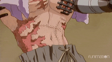 hunk scars GIF by Funimation