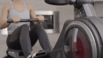 Workout Working Out GIF by ProForm