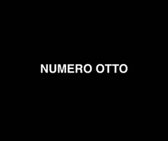 Fashion Fur GIF by NUMERO OTTO