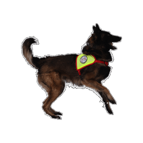 Rettungshund Sticker by Österreichische Rettungshundebrigade