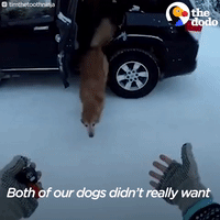 200.gif?cid=fc005b08ea4f911d44888a0899770b71c586ddcf5e8fdc77&rid=200.gif&ct=g