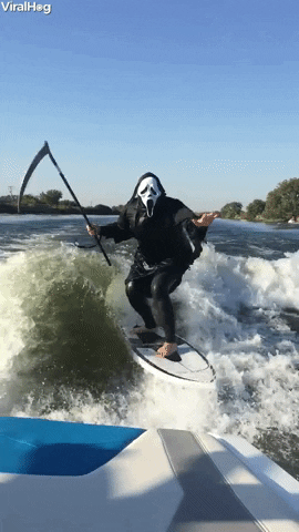 scream surfing GIF by ViralHog