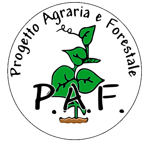 Funghi Ife Sticker by Pietro_Cal