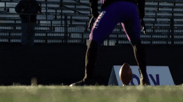 college football kickoff GIF by Tarleton State University