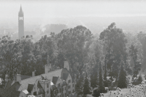 Uc Berkeley History GIF