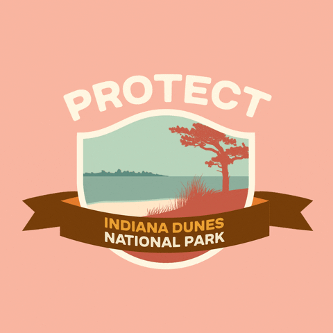 Digital art gif. Inside a shield insignia is a cartoon image of a large tree planted in the sand overlooking Lake Michigan, with a city skyline in the distance. Text above the shield reads, "protect." Text inside a ribbon overlaid over the shield reads, "Indiana Dunes National Park," all against a pale pink backdrop.