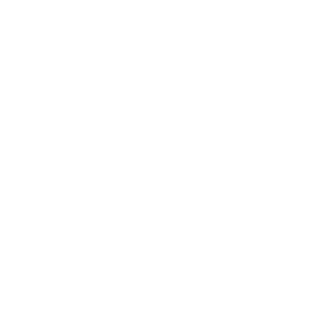 Bees Ape Sticker by Nonno Andrea - Azienda Agricola biologica e biodiversa