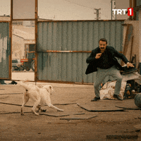 Barking Bad Dog GIF by TRT