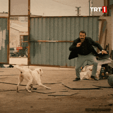 Understanding and Managing Reactive Dogs 👿🦮