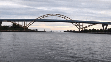 Bridge Between GIFs - Get the best GIF on GIPHY