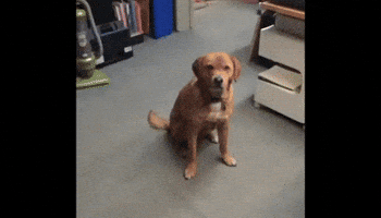 200.gif#102