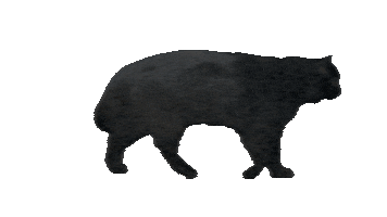 Tff Sticker by Trafikkforsikringsforeningen