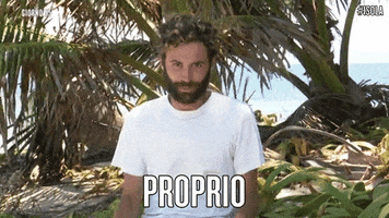 canale 5 luca GIF by Isola dei Famosi