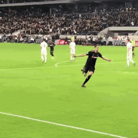 crowd celebrate GIF by Major League Soccer